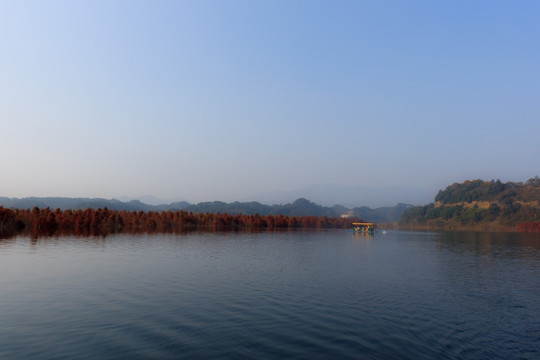 红杉 山水游船