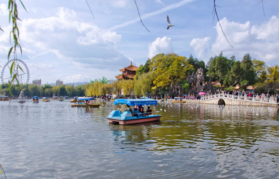 大观楼风景