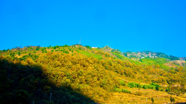 山林 山野