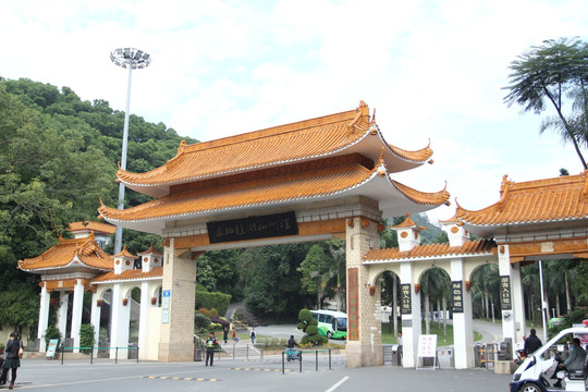 仙湖植物园