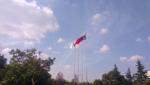 蓝天白云树木国旗