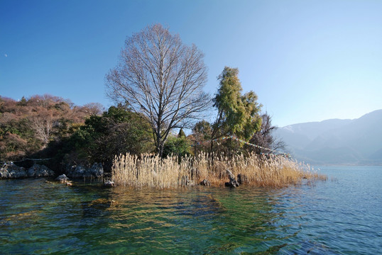 泸沽湖