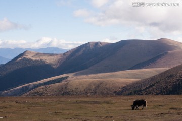 卡子拉山垭口