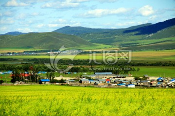 夏季的东北山村