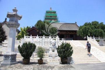西安大雁塔 大慈恩寺