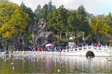 大观楼风景