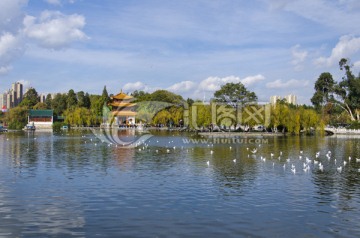 大观楼风景