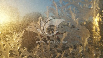 冬天玻璃窗上的冰花