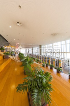 绿植 上海浦东图书馆