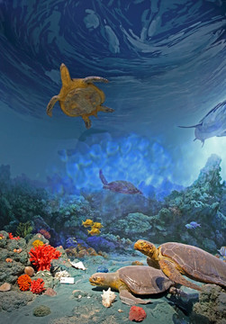 海底世界模型