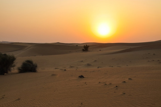 迪拜沙漠越野 迪拜冲沙