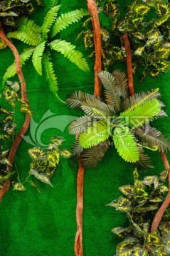绿植墙