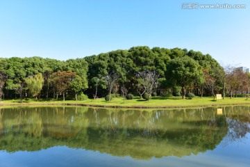上海世纪公园的树林湖泊风光