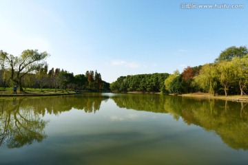 上海世纪公园的湖泊风光