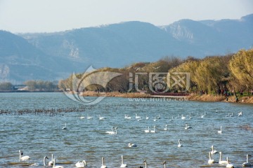 三门峡市国家城市湿地公园