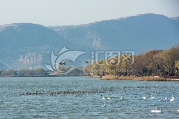 三门峡市国家城市湿地公园