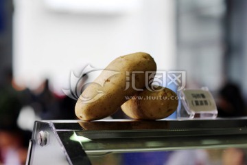 土豆