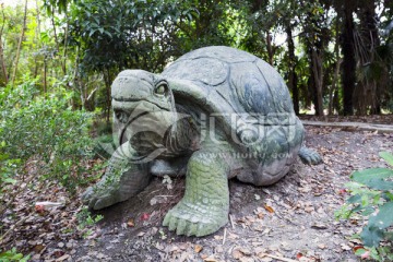 龟石雕