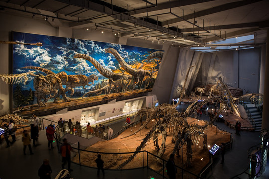 重庆自然博物馆恐龙厅