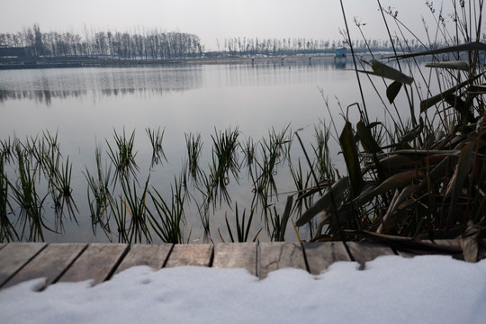 冬天湖景
