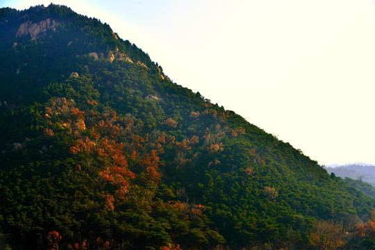 大山秋色