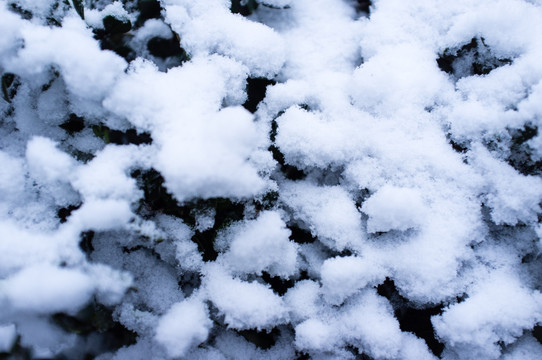 积雪 白雪