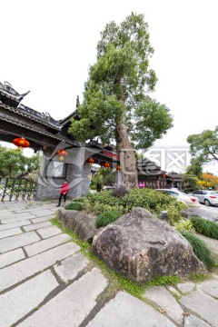 韩湘水博园 旅游 上海 古建筑