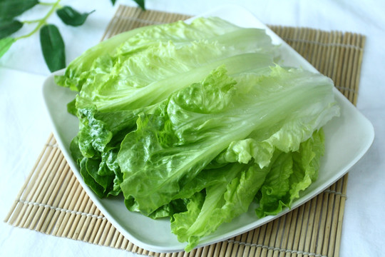 生菜