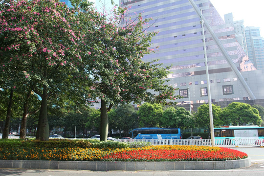 城市绿化带