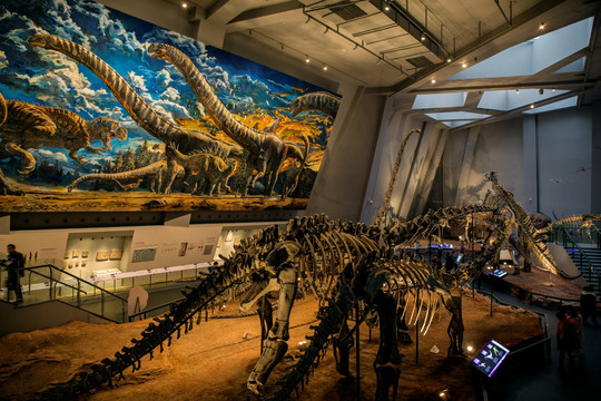 重庆自然博物馆恐龙厅