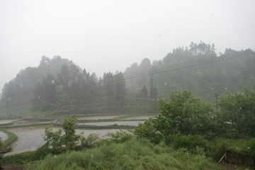 降雨素材