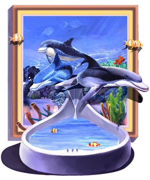 海豚 海洋浴池