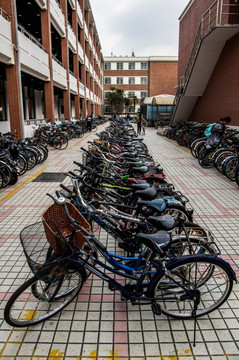 校园自行车