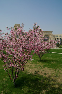 上海复旦大学