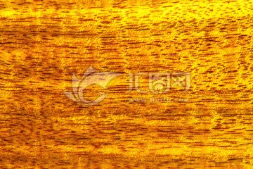 金色木纹