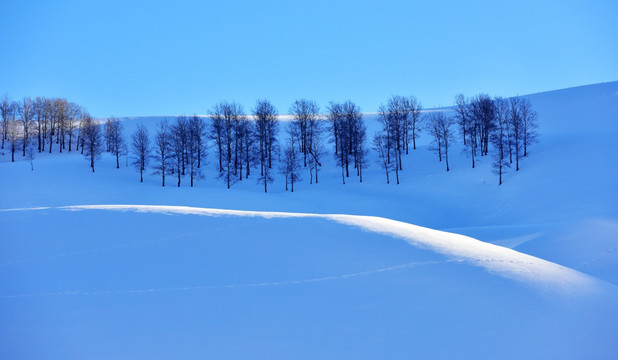 雪山树林