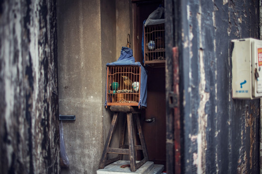 上海弄堂门内的鸟笼