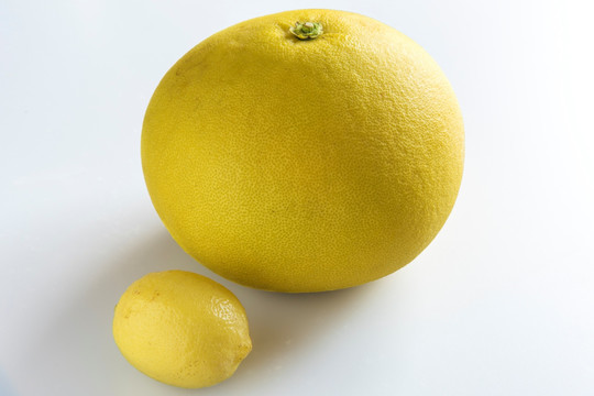 柚子与柠檬