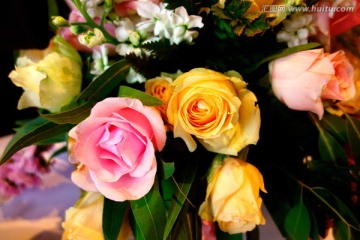 黄色玫瑰 粉色玫瑰 鲜花插花