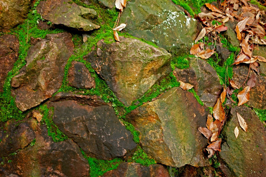 石块 绿色苔藓 背景素材