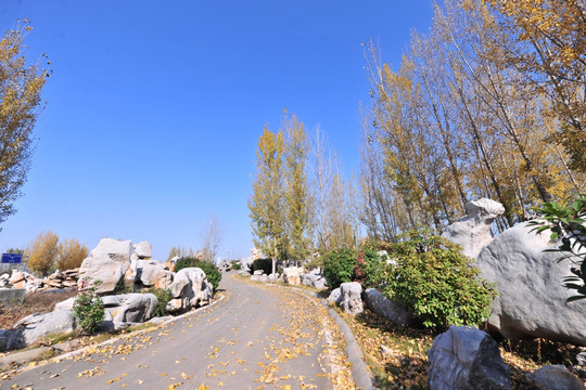 石林 地质公园