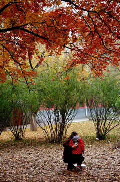 红色枫树下的母女