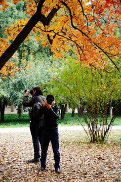 秋景中的摄影师