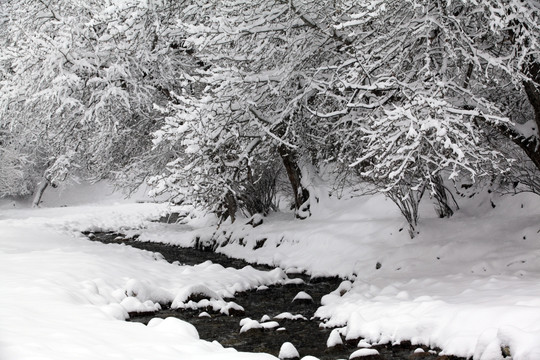 南山牧场 白杨沟雪景 天山风景