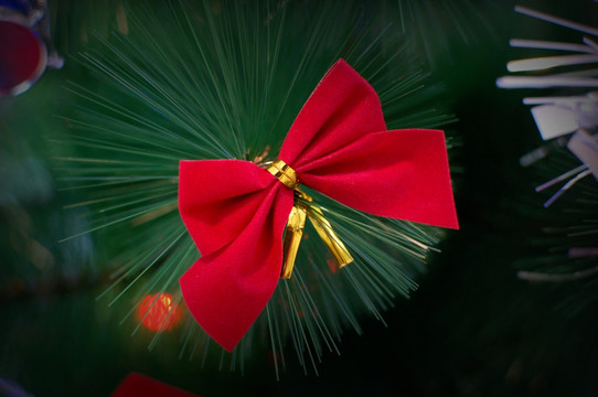 圣诞装饰 圣诞树上的红色蝴蝶结