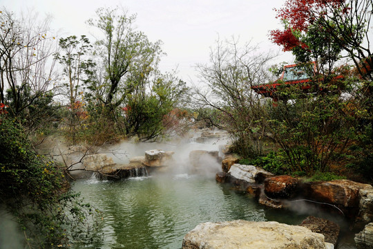 宁波 植物园 彩叶 流水