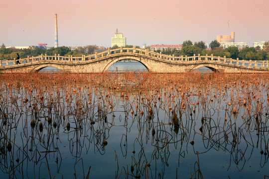 大明湖石桥风景
