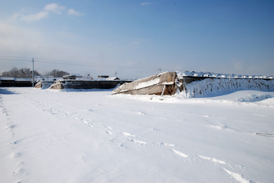 雪后的村庄 大棚