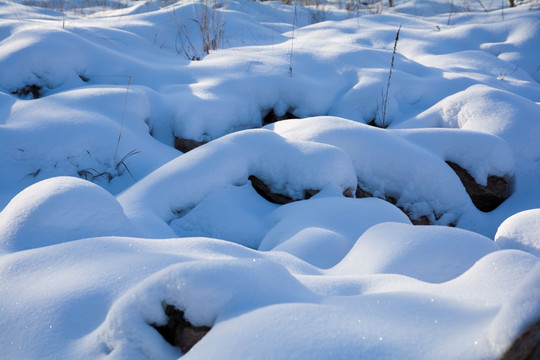 雪韵