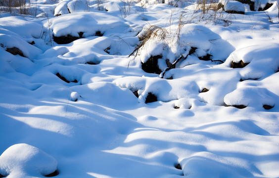 雪韵